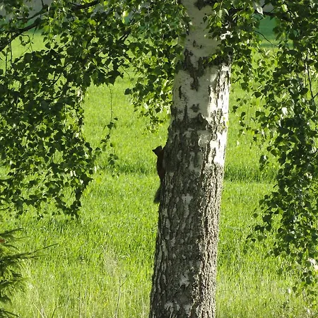 Vakantiehuis Kalliomajat Ylivalli